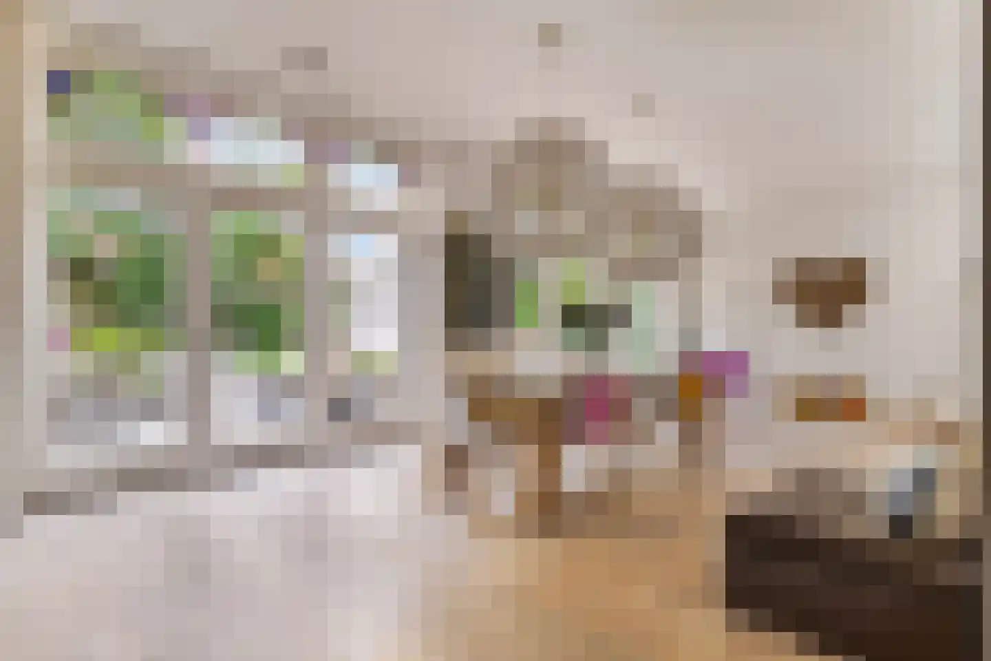 Bothniakade 3 a Sneek thumbnail 14
