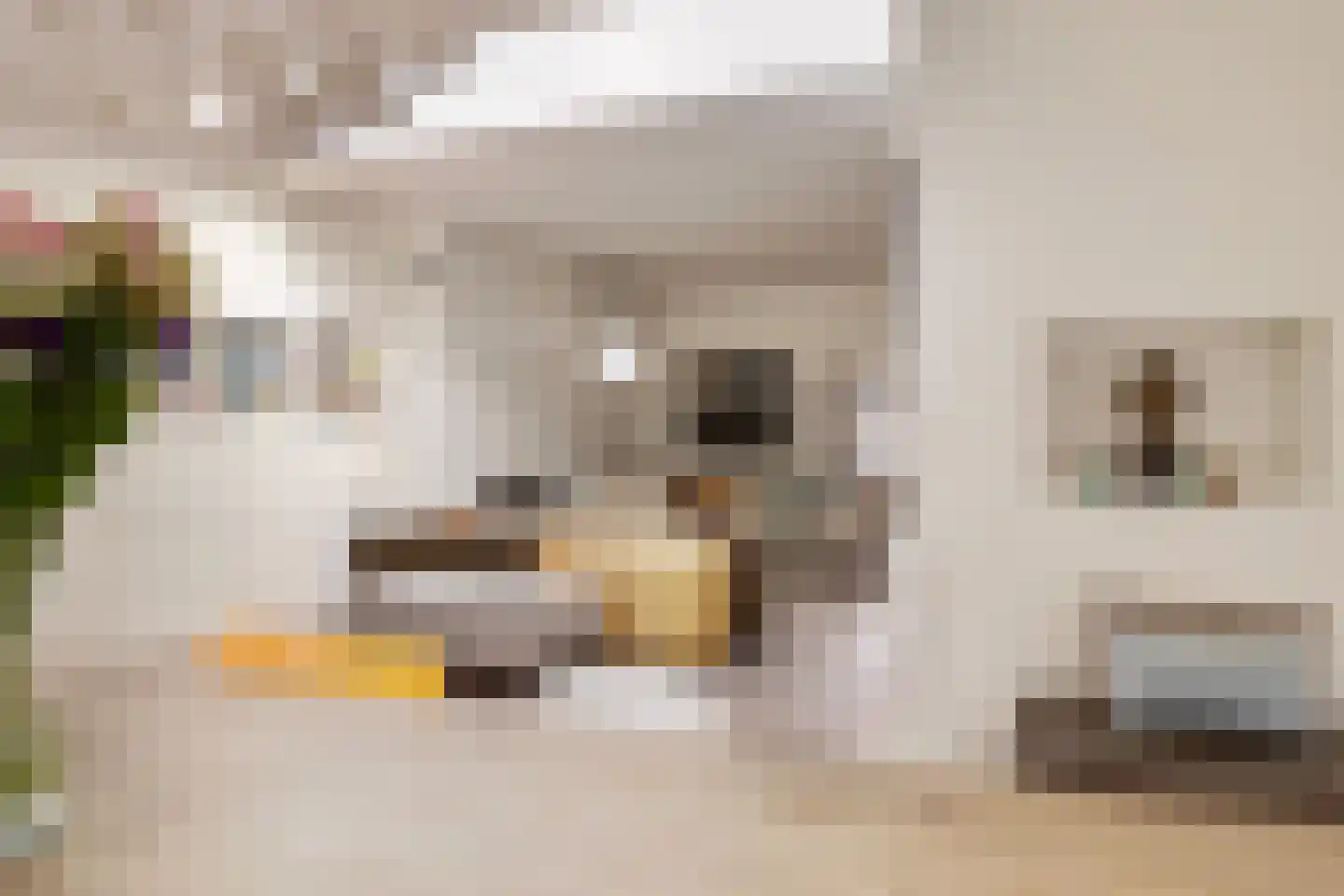 Bothniakade 3 a Sneek thumbnail 16