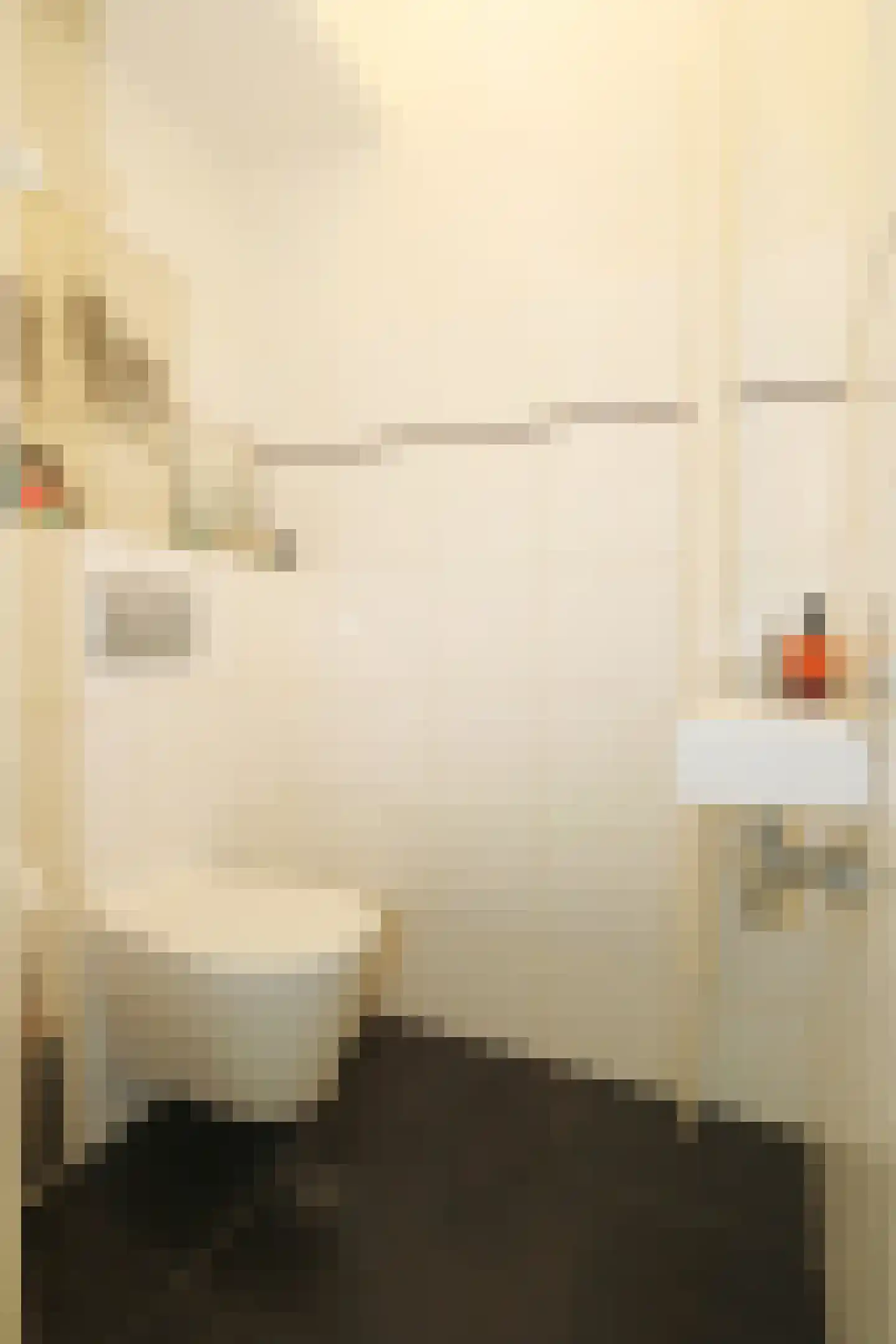 Bothniakade 3 a Sneek thumbnail 19