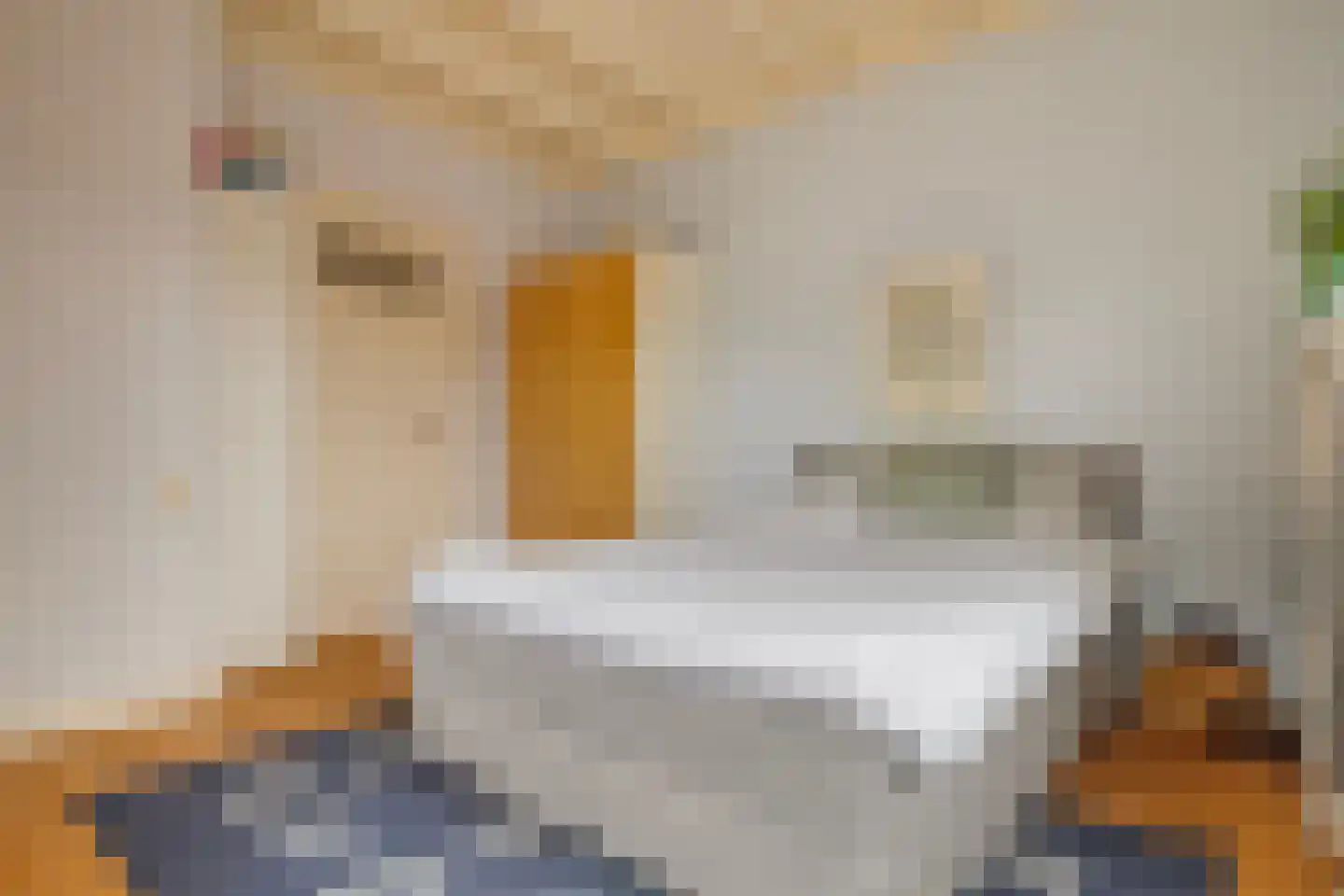 Bothniakade 3 a Sneek thumbnail 24