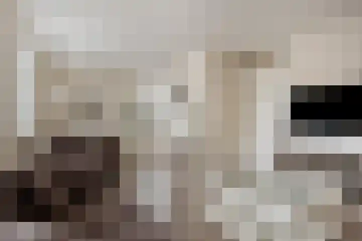 Bothniakade 3 a Sneek thumbnail 28