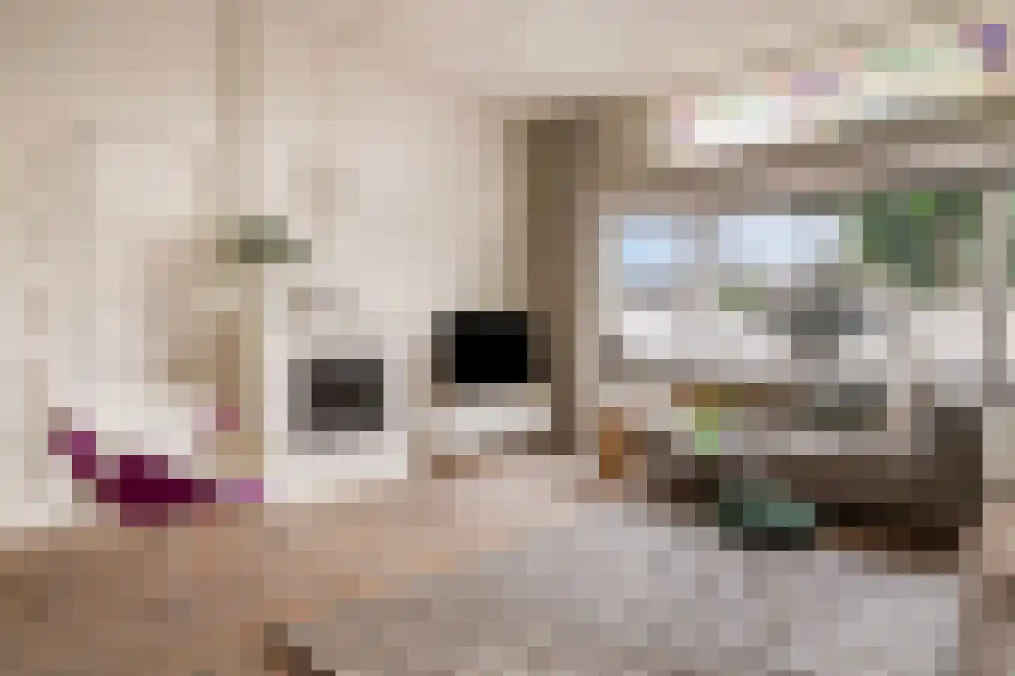 Bothniakade 3 a Sneek thumbnail 6