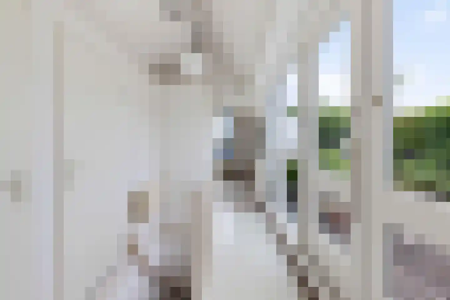 Bothniakade 44 Sneek thumbnail 23