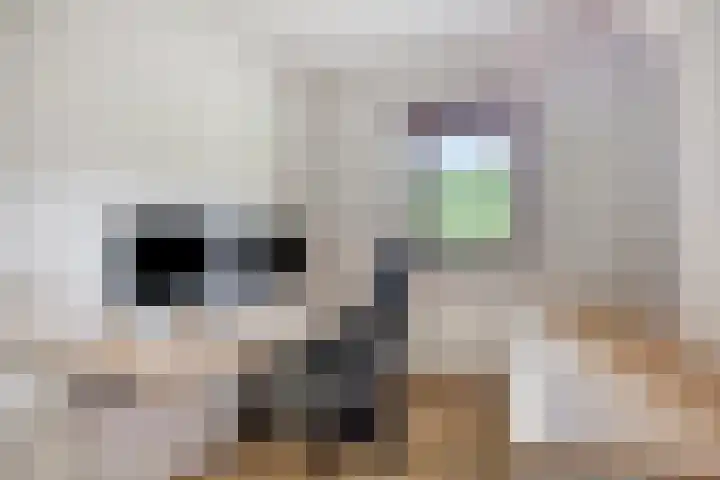Botlandstraat 2 Nieuwerkerk thumbnail 16