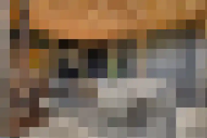 Botlandstraat 2 Nieuwerkerk thumbnail 33