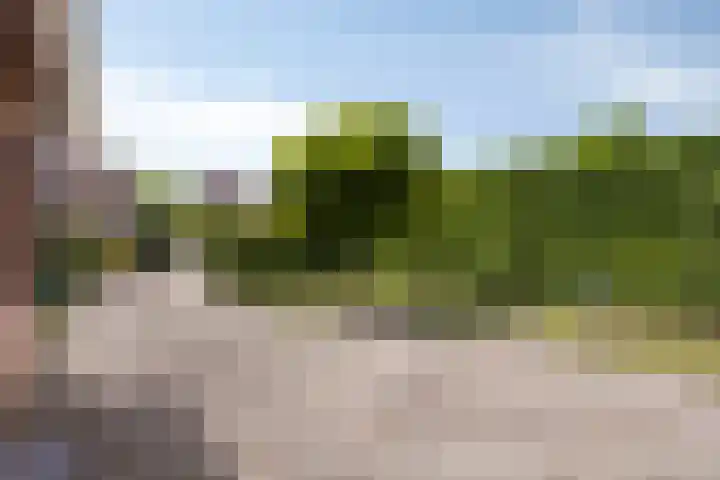 Botlandstraat 2 Nieuwerkerk thumbnail 5