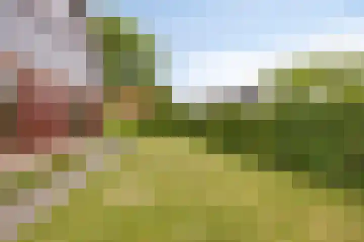 Botlandstraat 2 Nieuwerkerk thumbnail 7