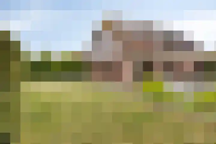 Botlandstraat 2 Nieuwerkerk thumbnail 8