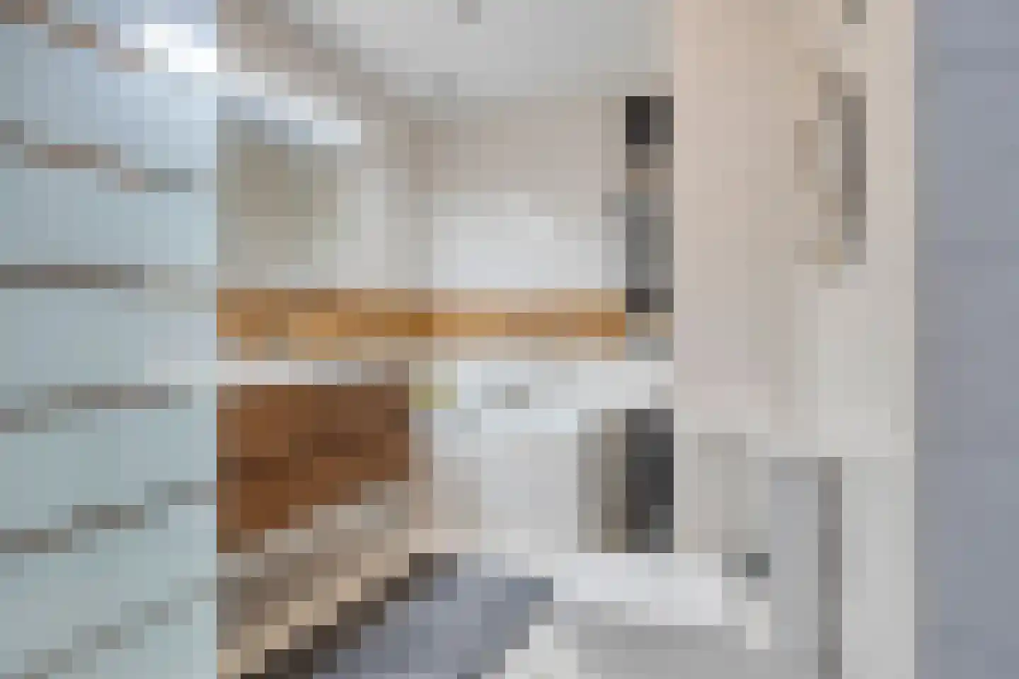 Botlandstraat 4 Oud-Vossemeer thumbnail 27