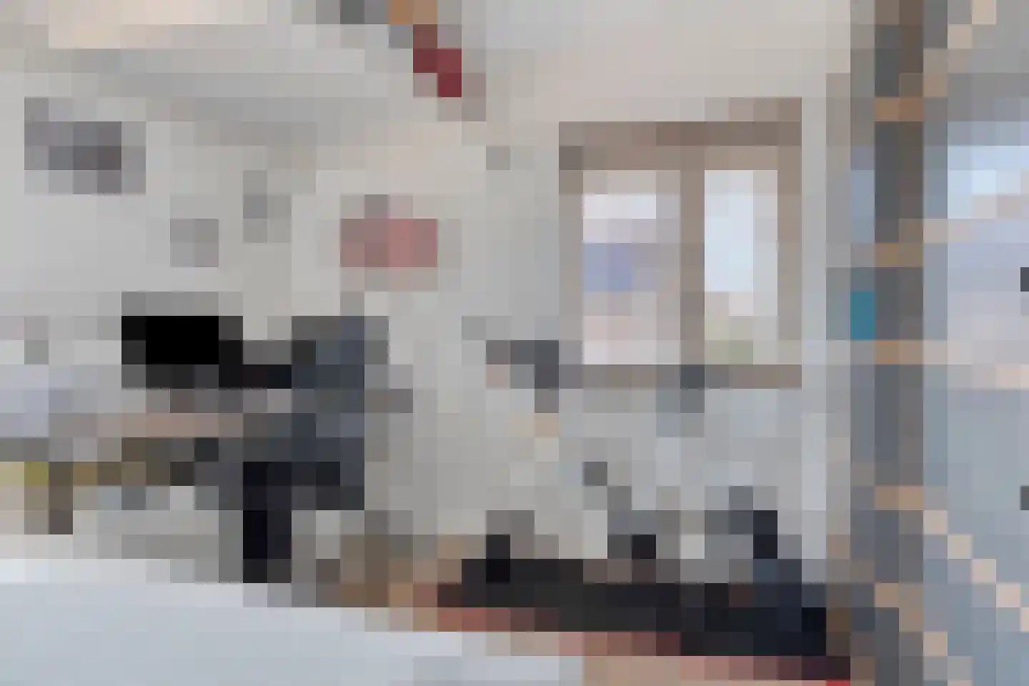Botlandstraat 4 Oud-Vossemeer thumbnail 33