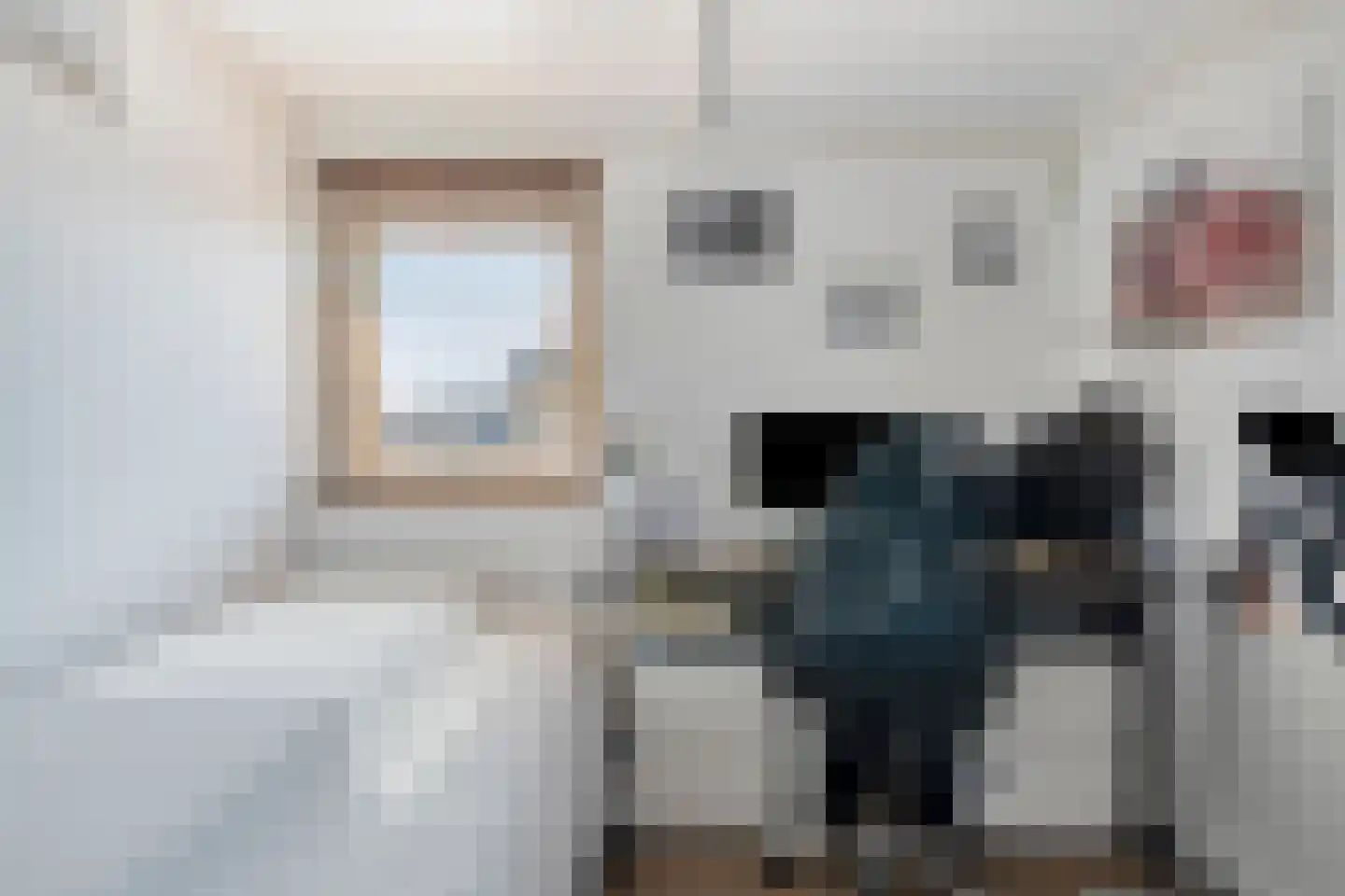 Botlandstraat 4 Oud-Vossemeer thumbnail 34