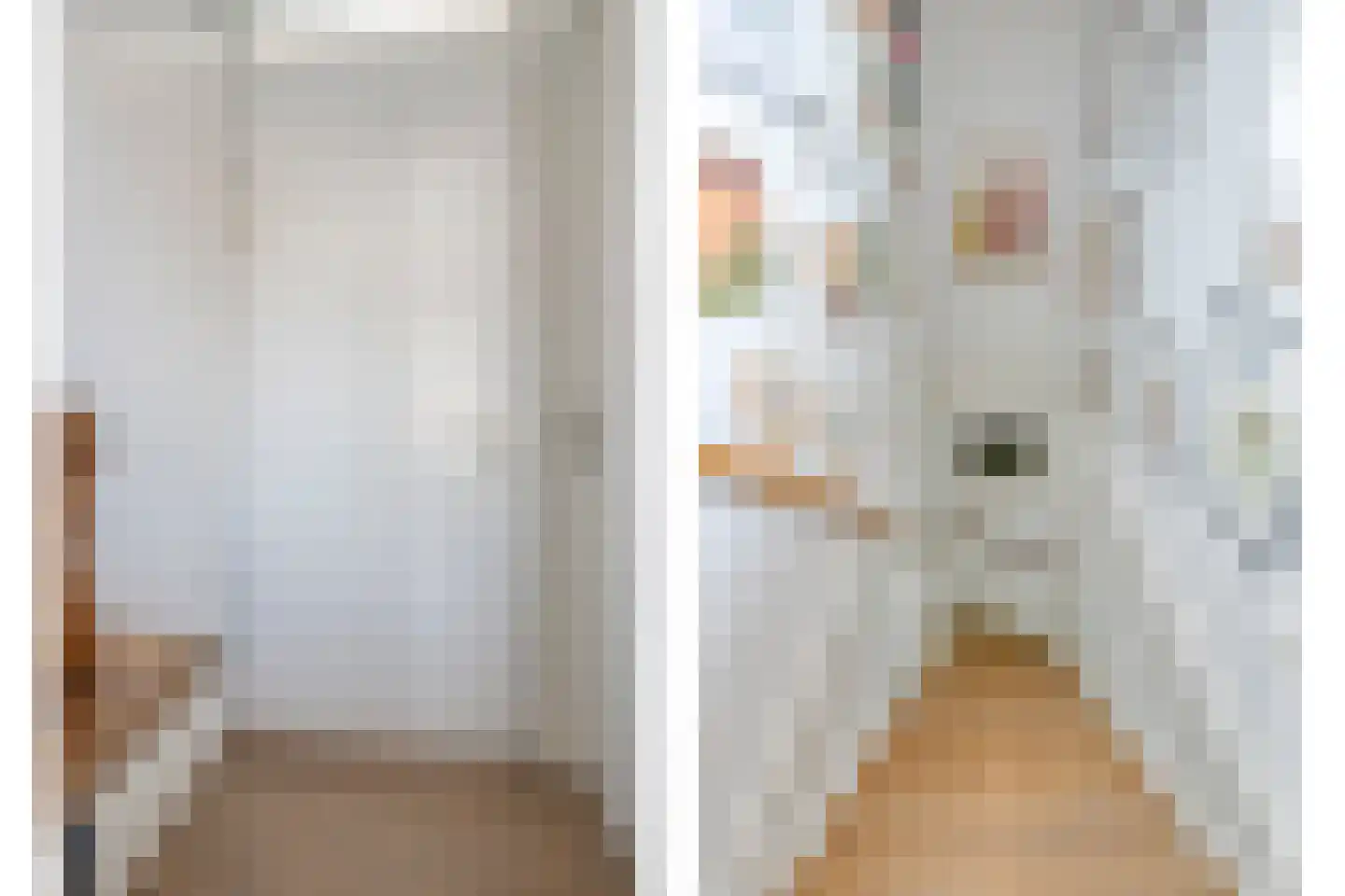Botlandstraat 4 Oud-Vossemeer thumbnail 37
