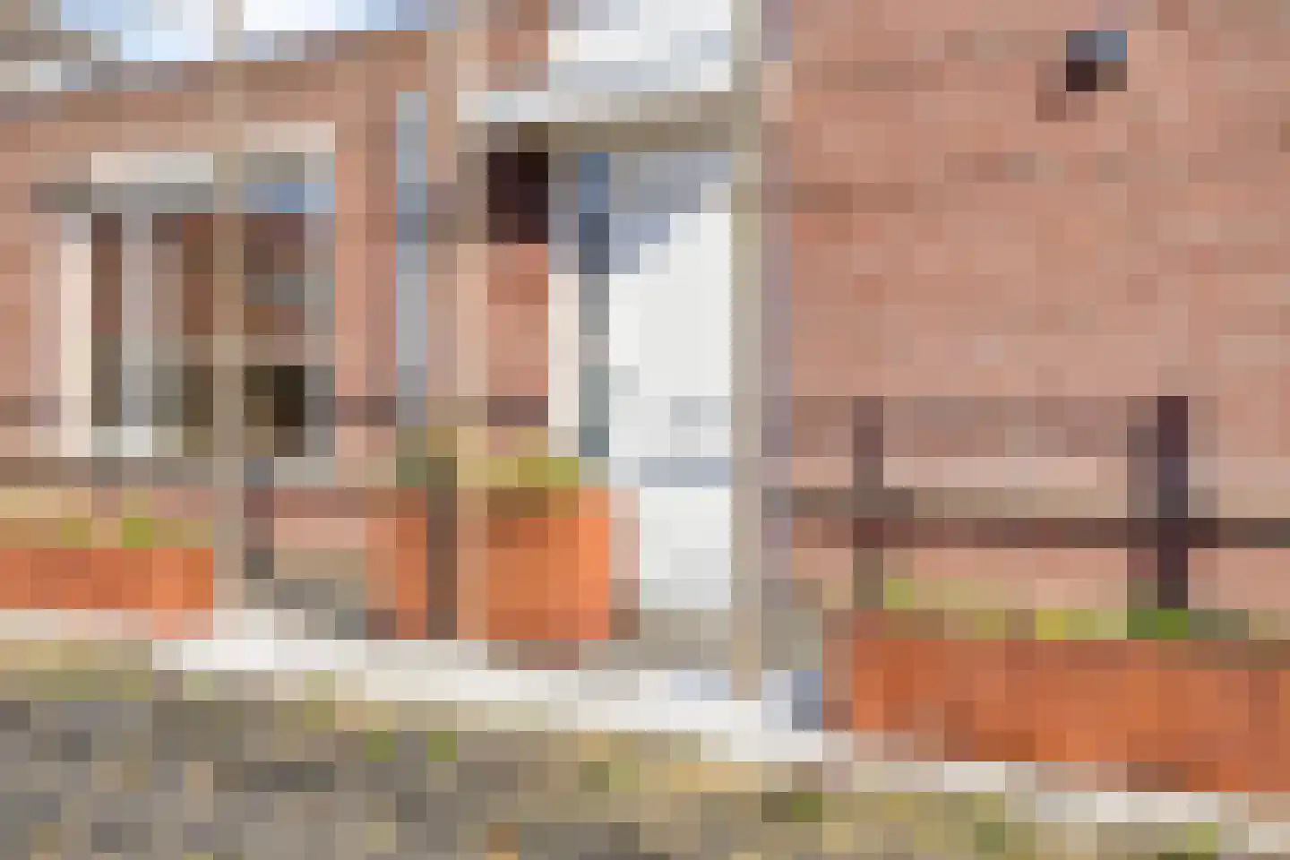 Botlandstraat 4 Oud-Vossemeer thumbnail 4