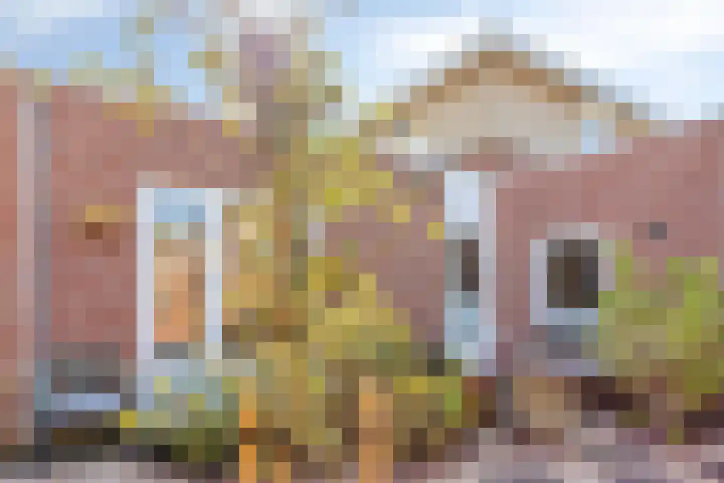 Botlandstraat 4 Oud-Vossemeer thumbnail 41
