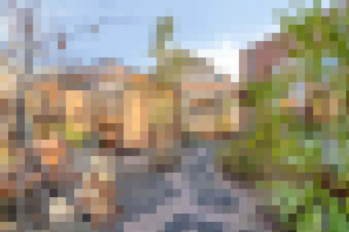 Botlandstraat 4 Oud-Vossemeer thumbnail 42