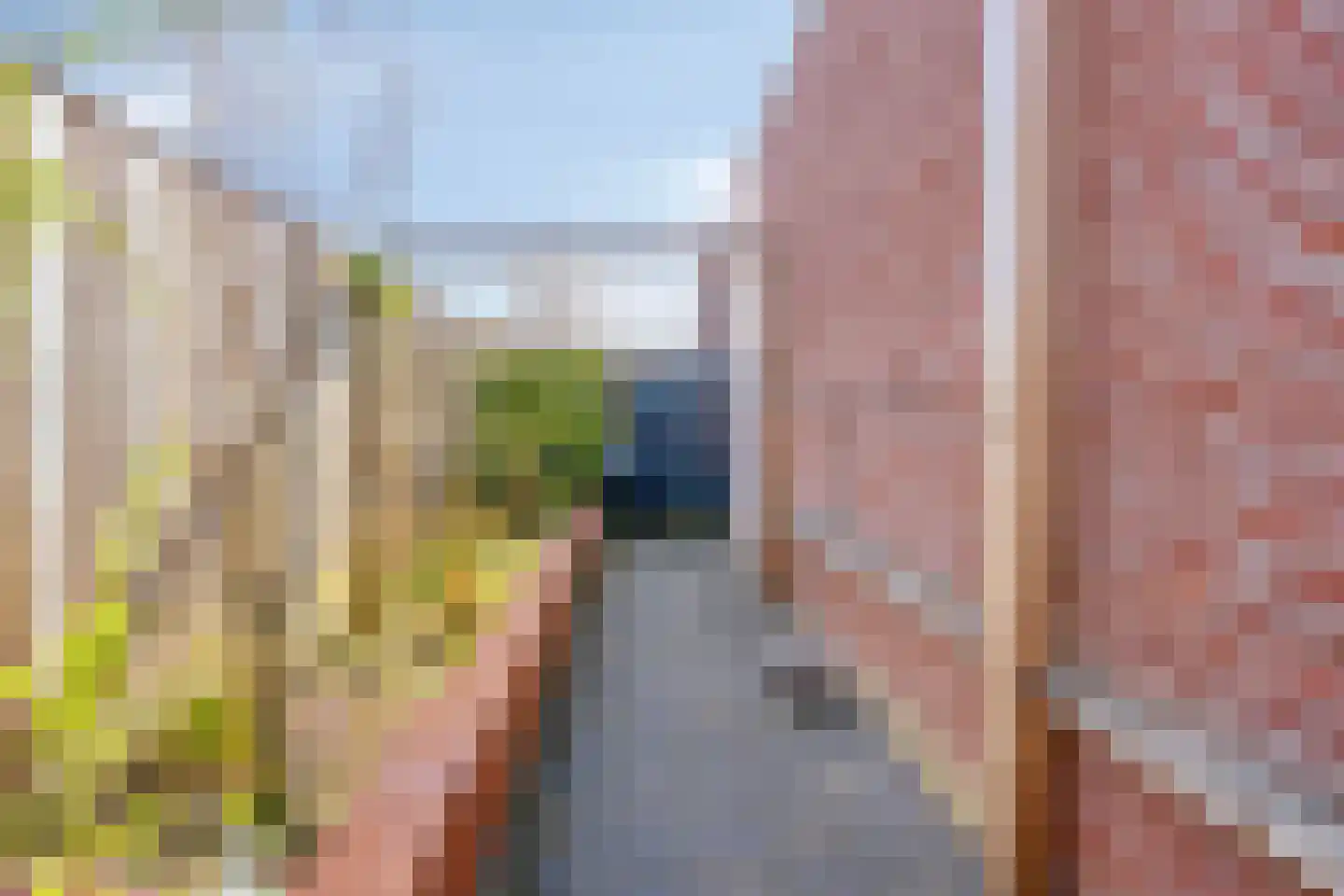 Botlandstraat 4 Oud-Vossemeer thumbnail 48
