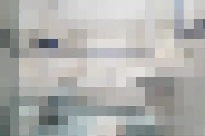 Botlek 22 Zwolle thumbnail 10