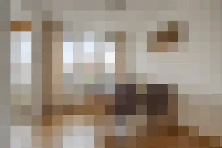 Botlek 22 Zwolle thumbnail 10