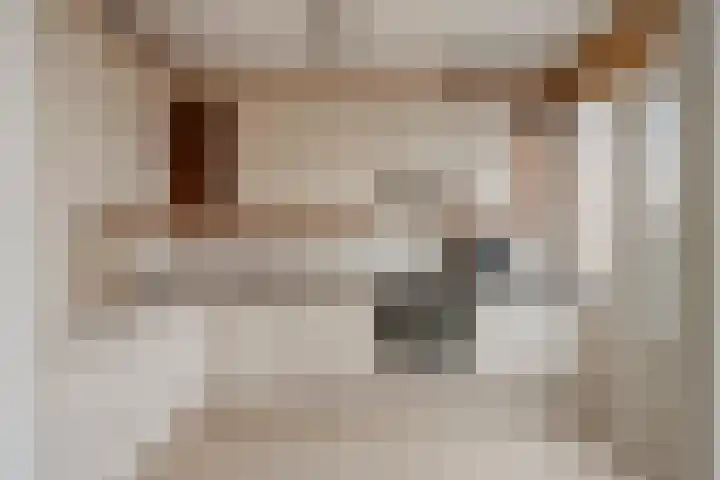 Botlek 22 Zwolle thumbnail 13