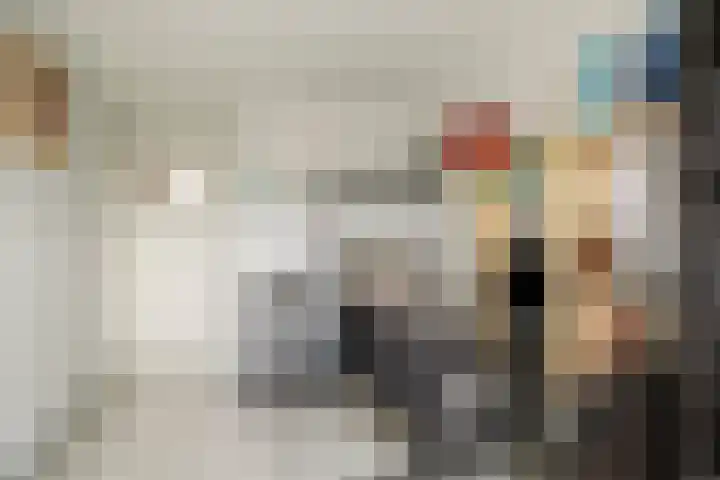 Botlek 22 Zwolle thumbnail 27