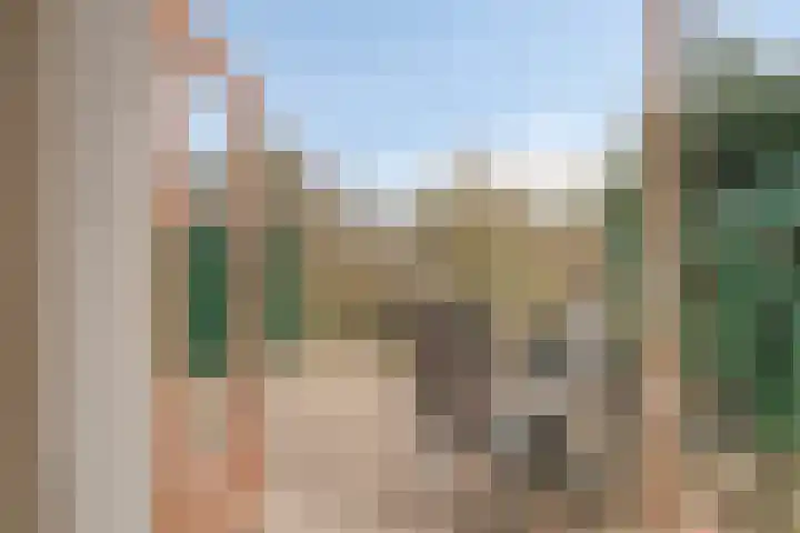 Botlek 22 Zwolle thumbnail 33