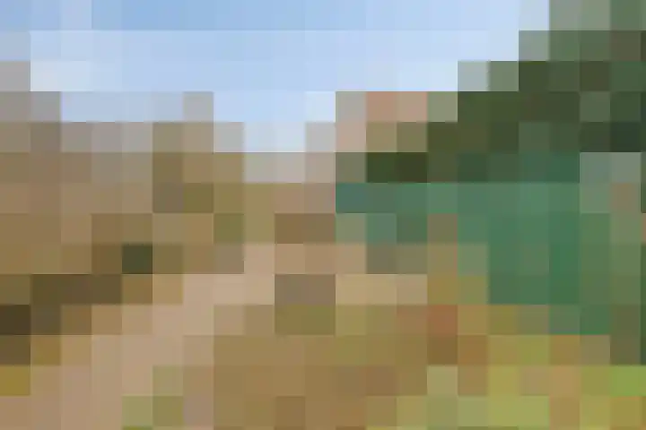 Botlek 22 Zwolle thumbnail 36