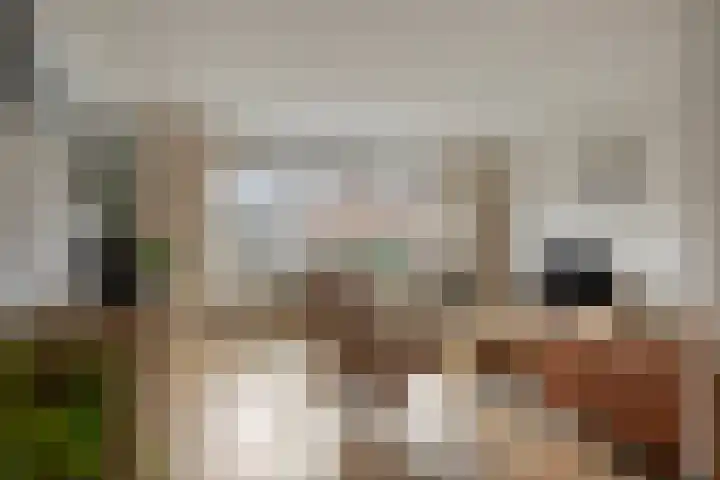 Botlek 22 Zwolle thumbnail 6