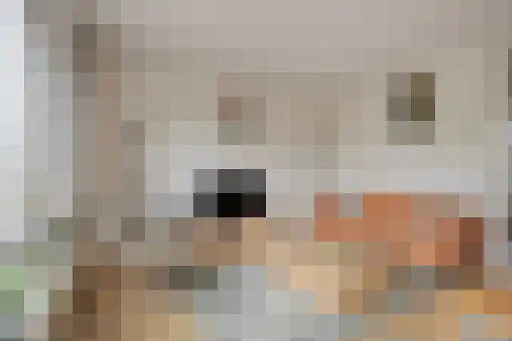 Botlek 22 Zwolle thumbnail 7