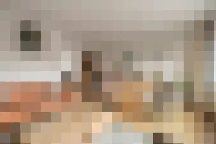 Botlek 22 Zwolle thumbnail 8