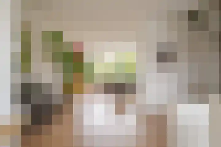 Botlek 6 Zwolle thumbnail 11