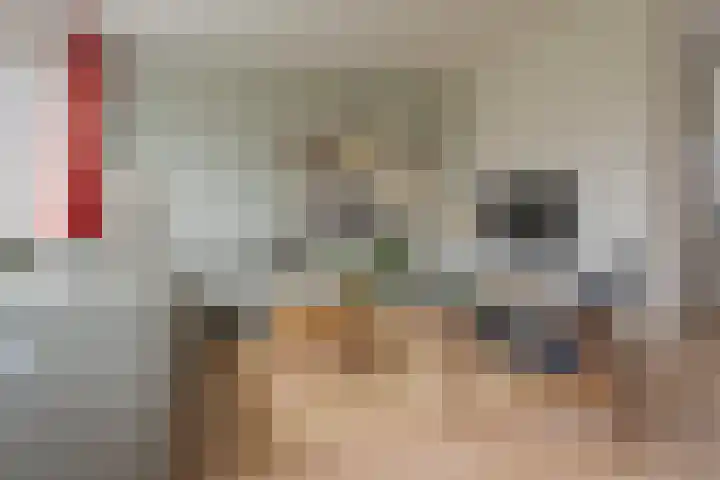 Botlek 6 Zwolle thumbnail 13