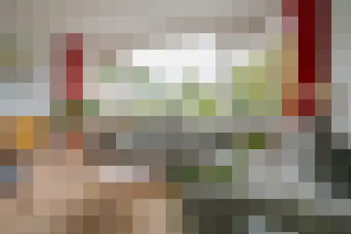 Botlek 6 Zwolle thumbnail 14