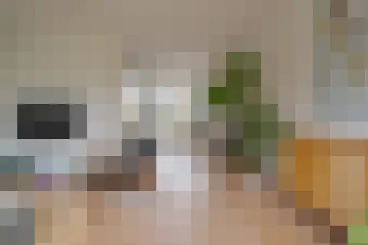 Botlek 6 Zwolle thumbnail 15