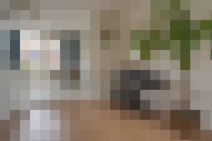 Botlek 6 Zwolle thumbnail 16