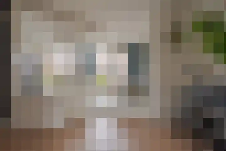 Botlek 6 Zwolle thumbnail 17