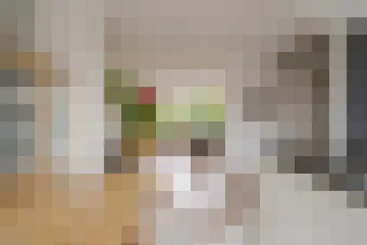 Botlek 6 Zwolle thumbnail 21