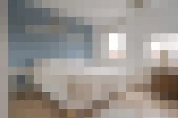 Botlek 6 Zwolle thumbnail 24