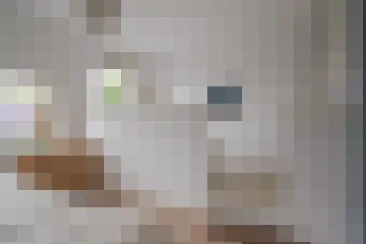 Botlek 6 Zwolle thumbnail 25