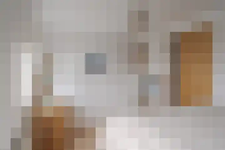 Botlek 6 Zwolle thumbnail 26