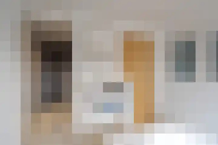 Botlek 6 Zwolle thumbnail 27