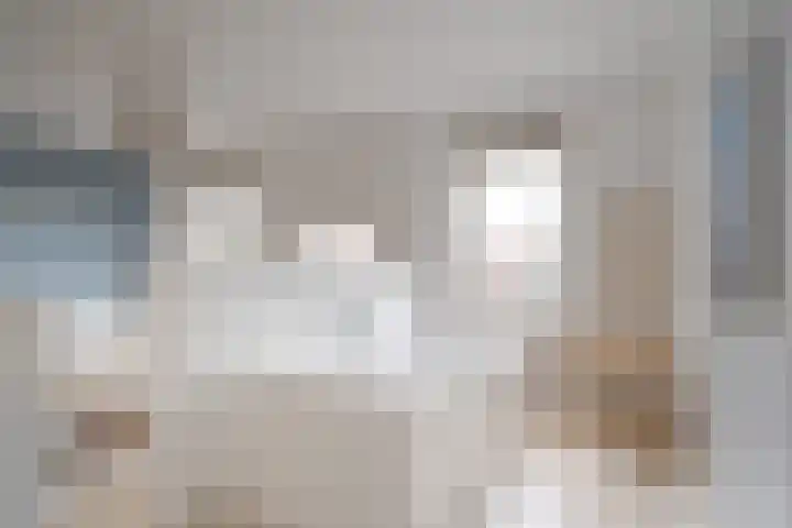 Botlek 6 Zwolle thumbnail 28