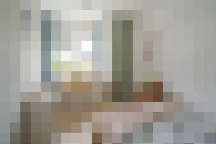 Botlek 6 Zwolle thumbnail 33