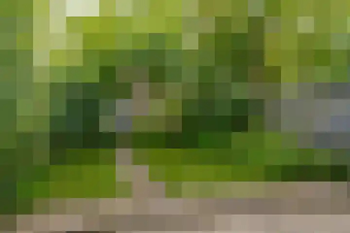 Botlek 6 Zwolle thumbnail 4