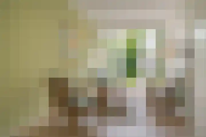 Botlek 6 Zwolle thumbnail 42