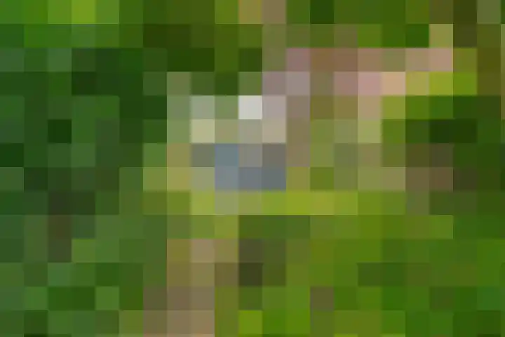 Botlek 6 Zwolle thumbnail 47