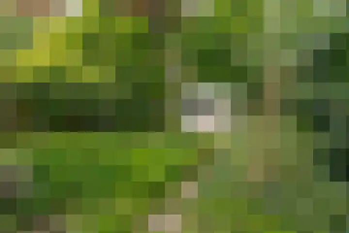 Botlek 6 Zwolle thumbnail 48