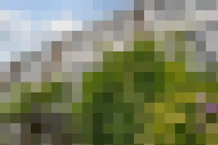 Botlek 6 Zwolle thumbnail 6