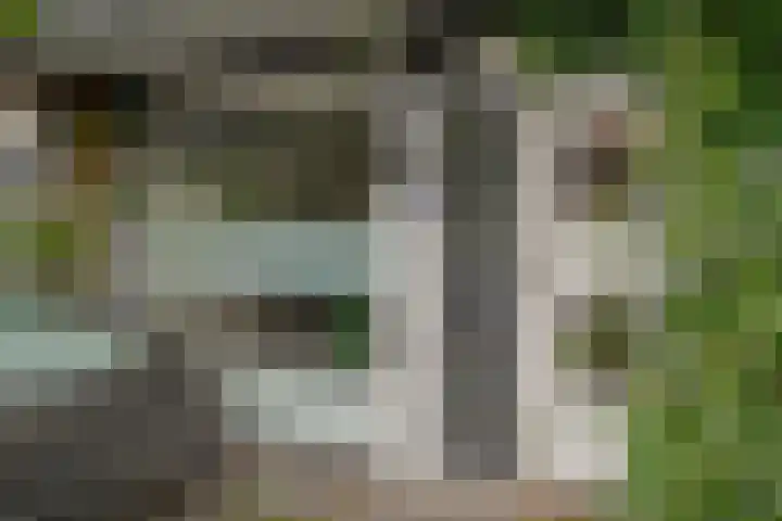 Botlek 6 Zwolle thumbnail 7