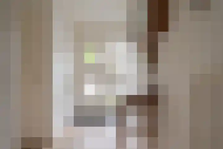 Botlek 6 Zwolle thumbnail 9