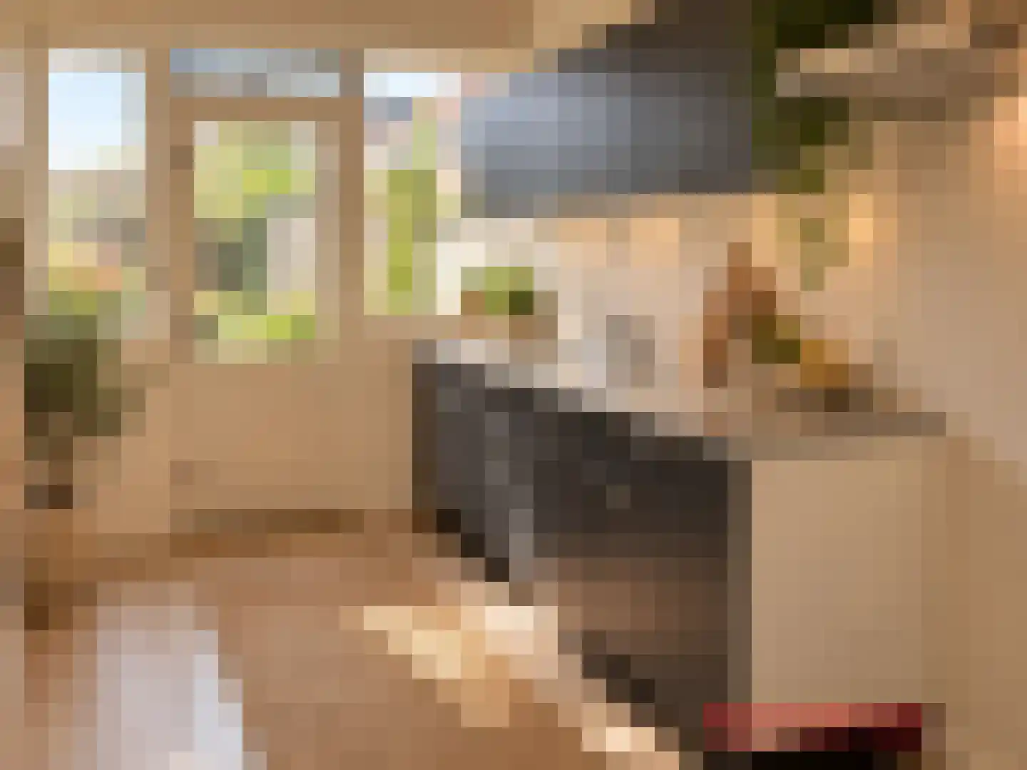 Botlek 71 Zwolle thumbnail 12